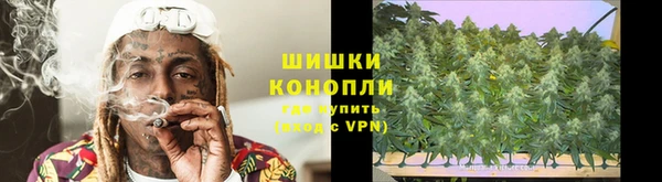 прущая мука Богданович